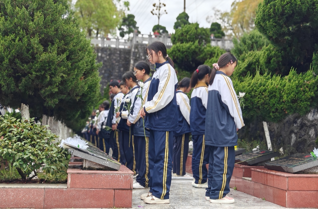 龙山团县委组织青少年开展清明节扫墓活动