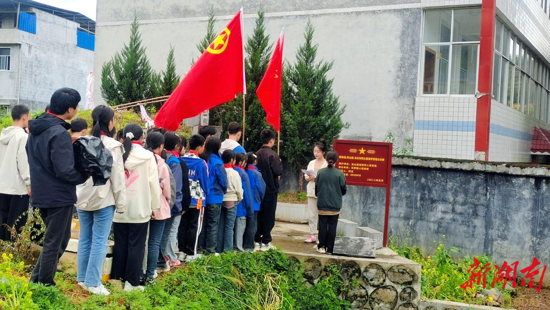 龙山县石牌镇桶车九年制学校开展清明节祭扫烈士墓活动