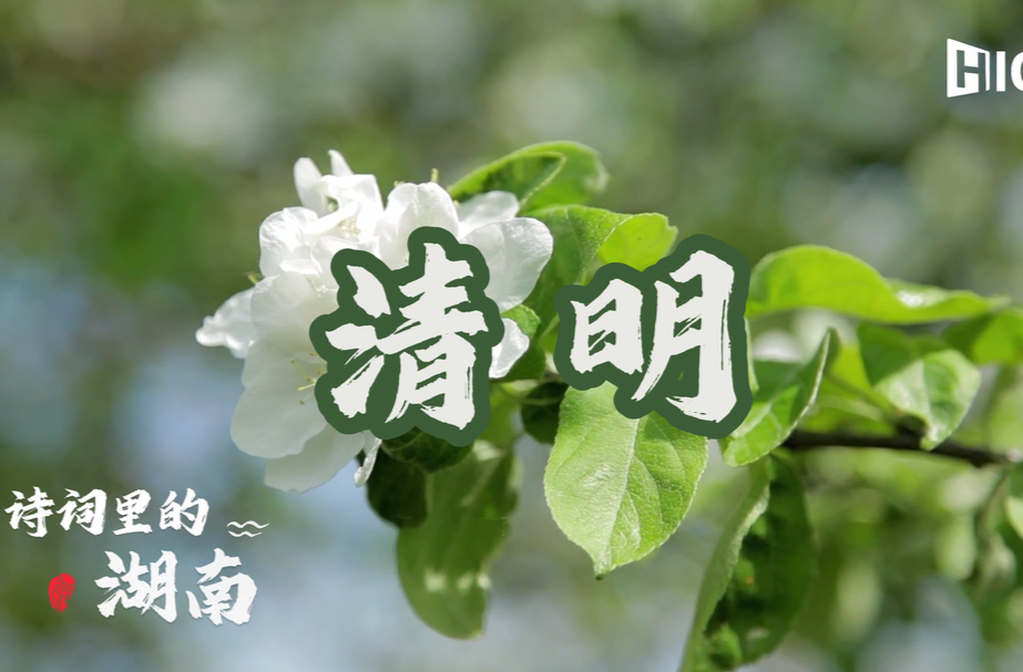 诗词里的湖南·Hunan in poetry ⑥｜清明·Qingming Festival