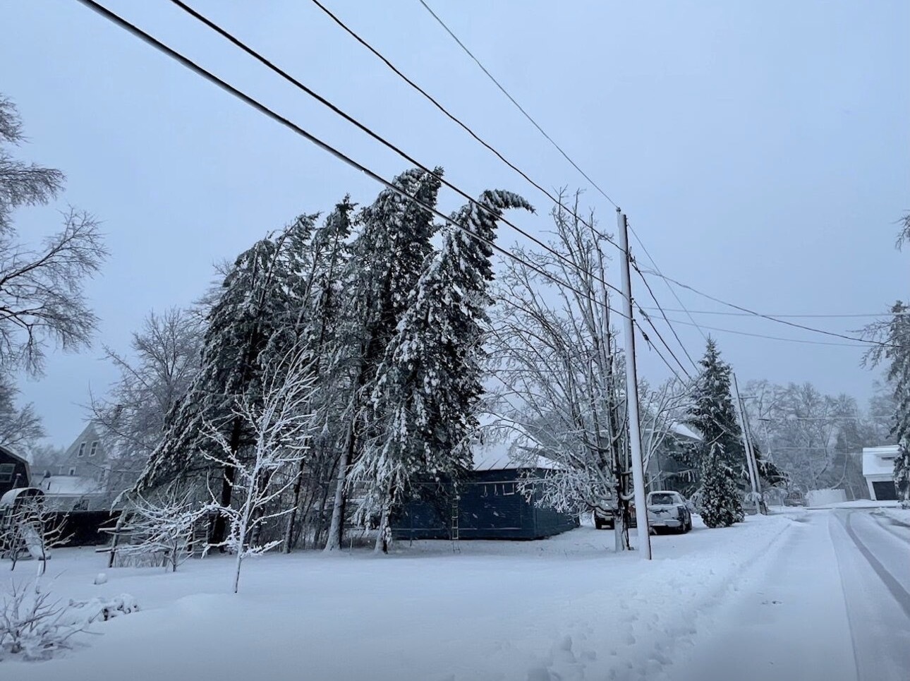 美国东北部遭遇极端天气，近50万用户断电