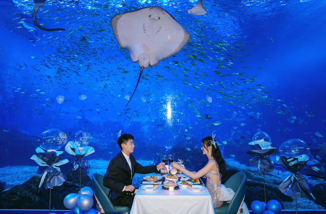 湘江欢乐海洋重磅打造“鲸”奇鲛人夜宴，解锁小长假全新约会体验！
