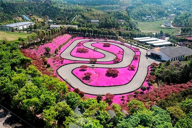 Flower-admiring Tour to Paragon Garden Included in 2024 List of National High-quality Rural Tourism Routes