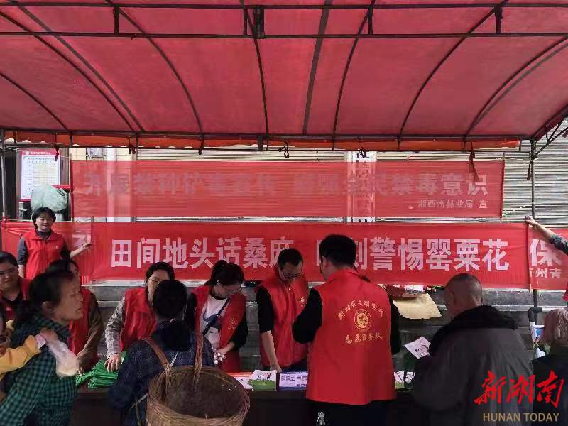 湘西州林业局形式多样开展禁种铲毒“三进”活动