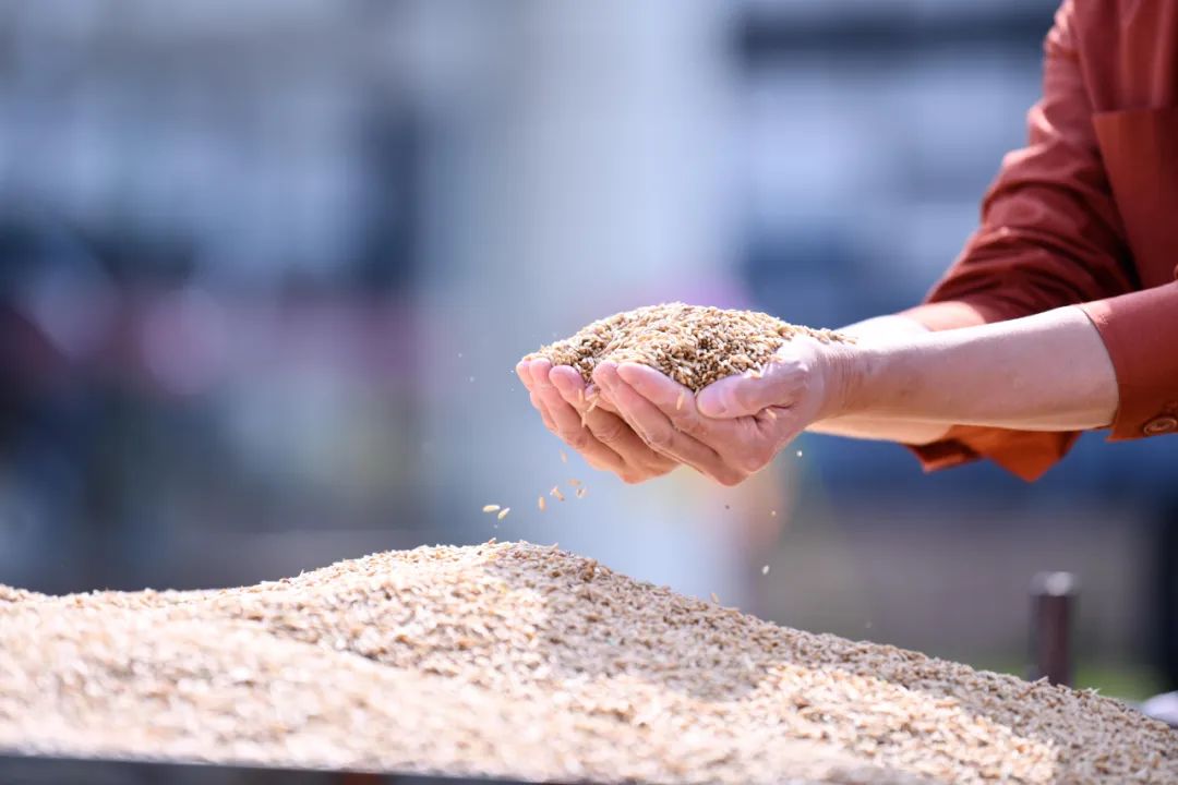 营养师吃得最多的10种健康食物……