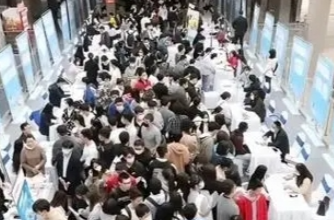 芙蓉国评论 | 本科生“回炉”，这番“折腾”为哪般——“2024年就业启示录”之二