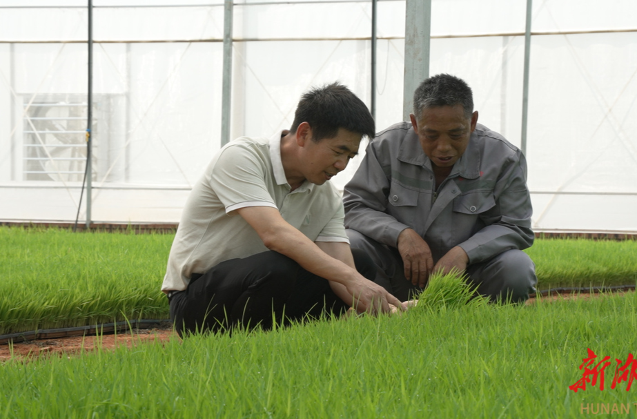 道县：大力发展设施农业 助力春耕生产
