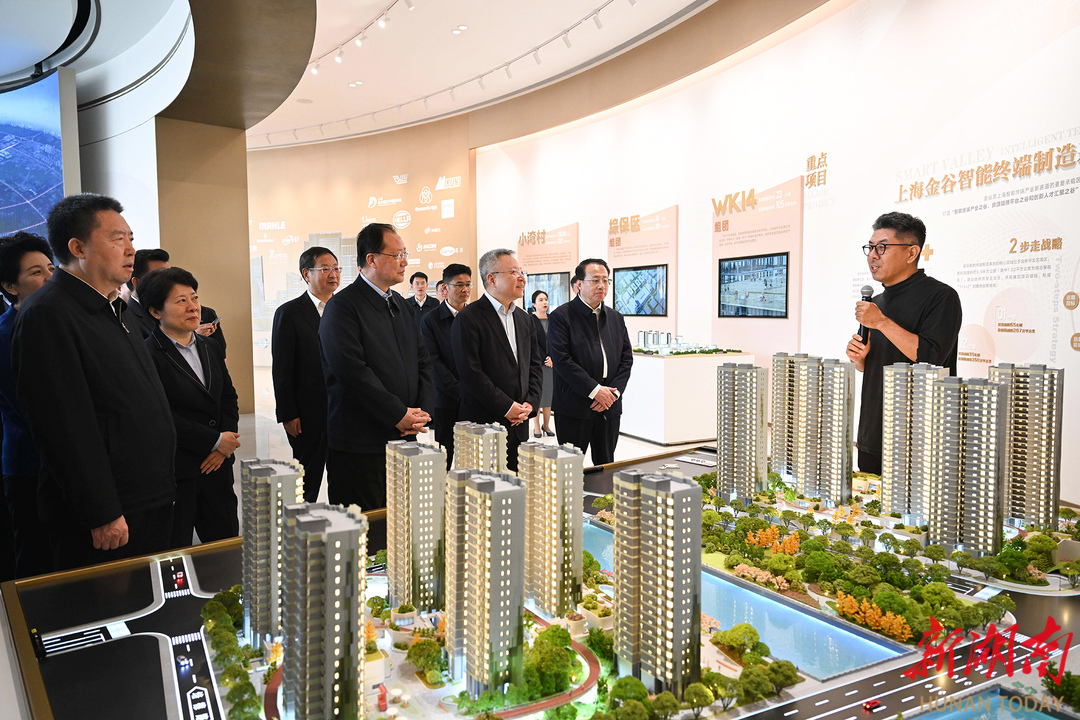 4月11日，湖南省党政代表团考察了金桥开发区。