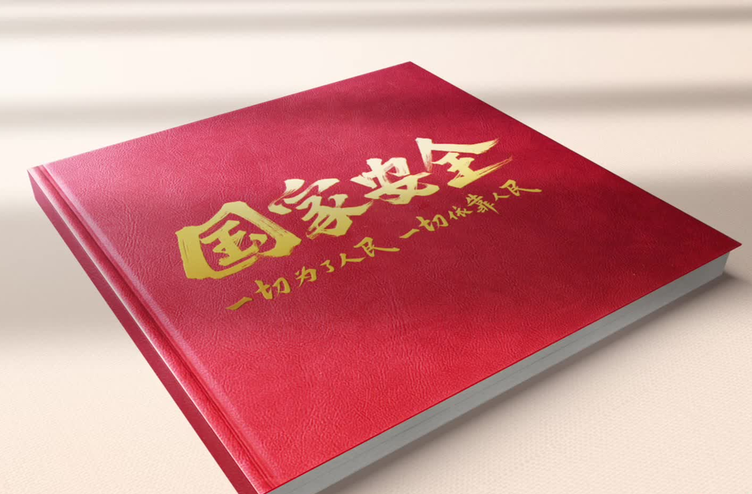 总体国家安全观10周年宣传片丨这十年