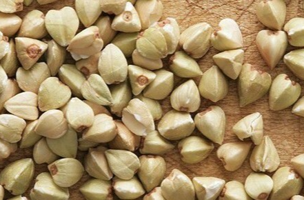 劝你多把荞麦当主食，理由1个就够了