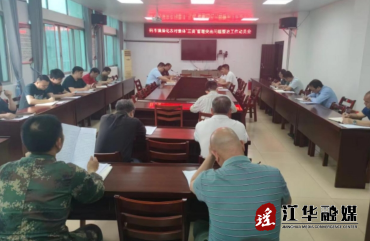 江华码市镇召开深化农村集体“三资”管理突出问题整治工作动员会