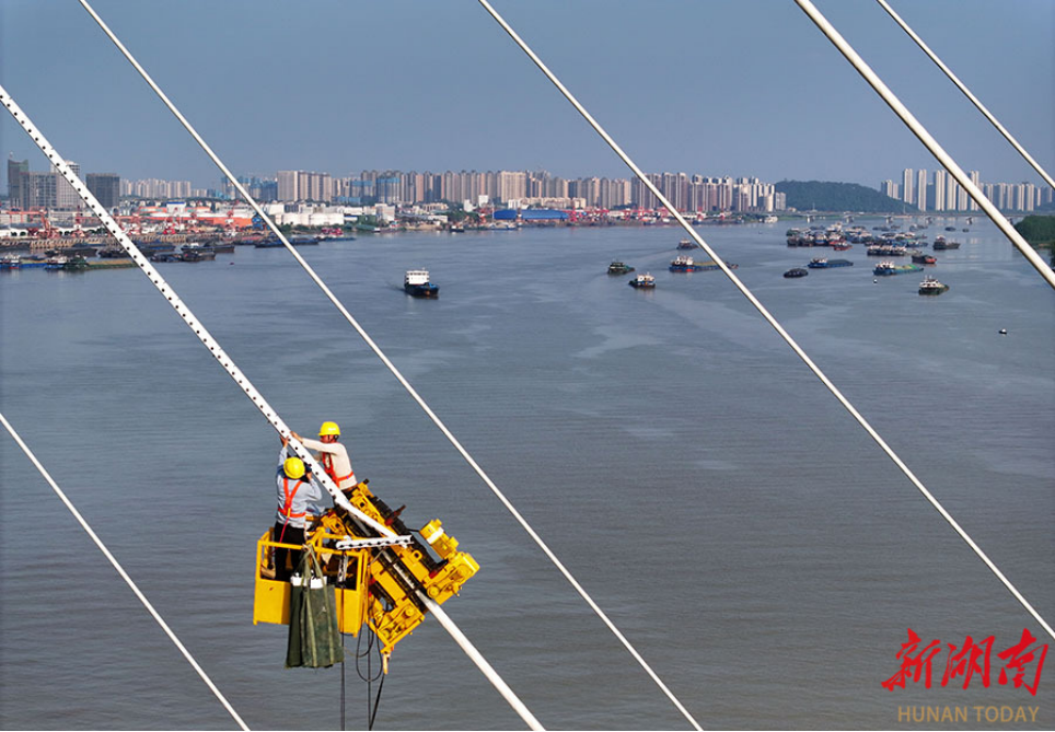 Construction of Changsha Xiangluzhou Bridge in Full Swing