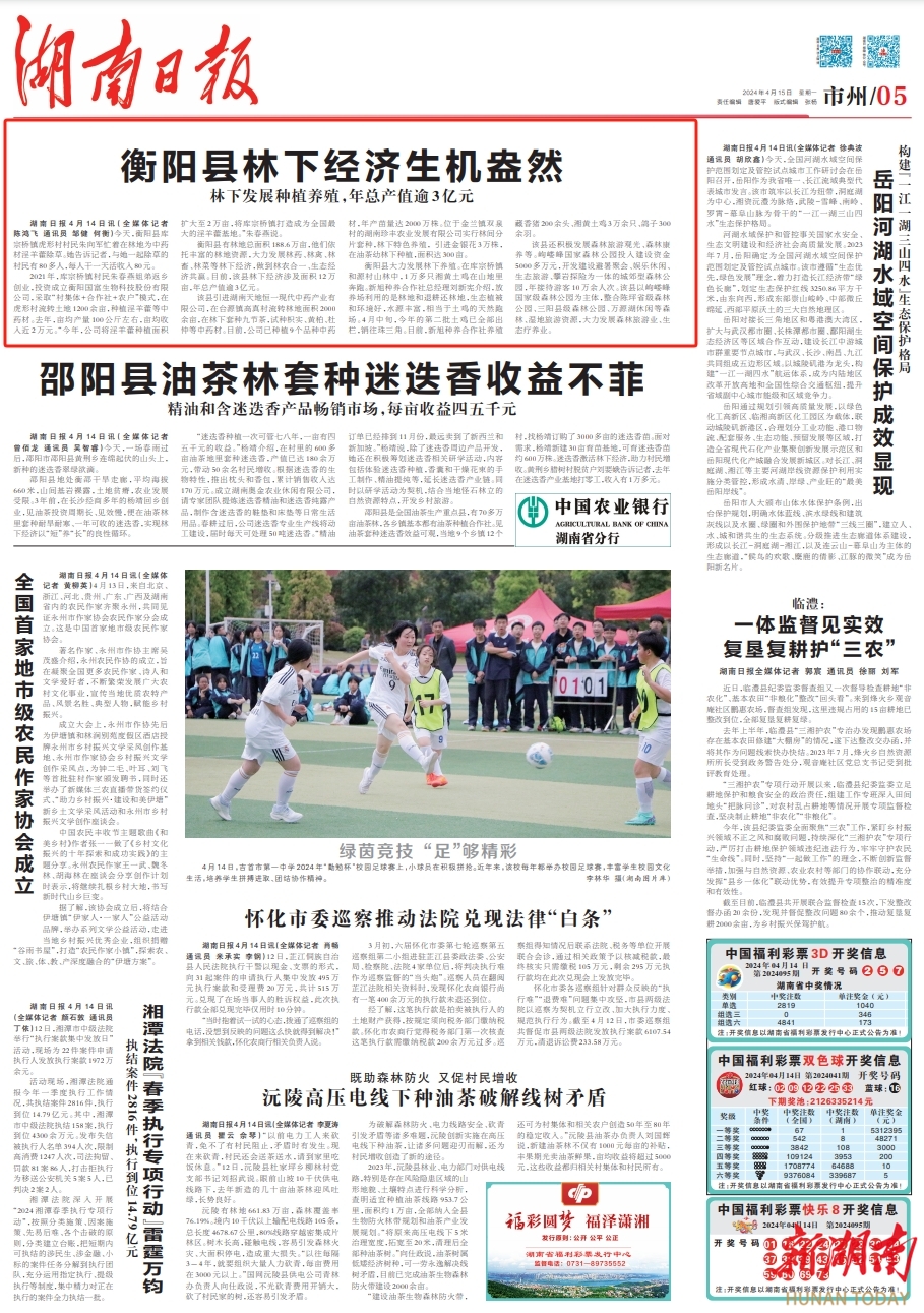 衡阳县林下经济生机盎然丨湖南日报市州头条