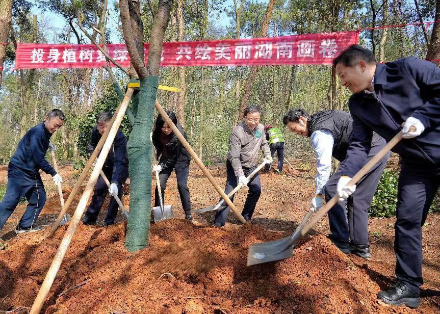 湖南今春营造林任务圆满完成  人工造林完成年度任务的107.53%