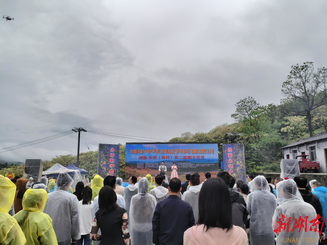 永顺县青坪镇举办湘西·永顺（青坪）第二届桐子花节
