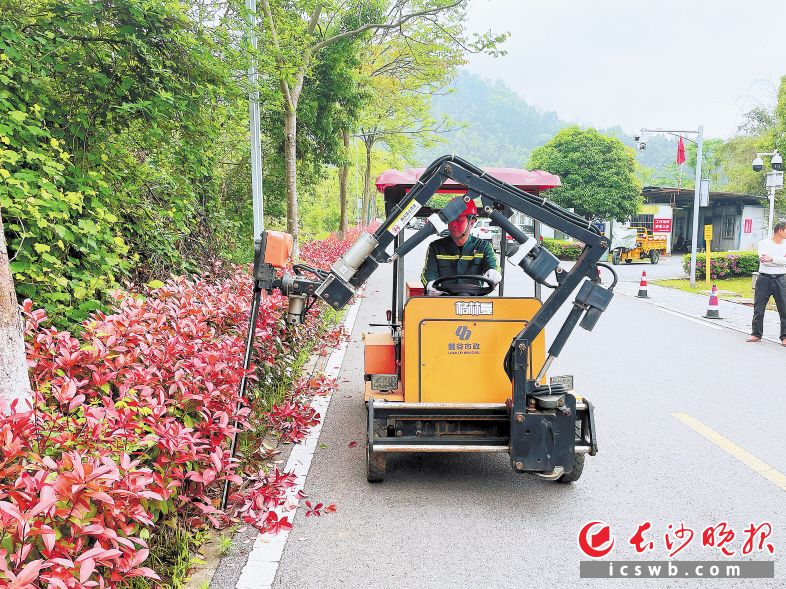 Robots used in landscaping services
