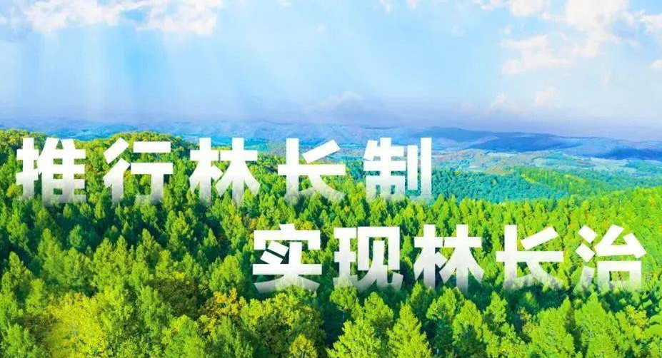 双峰县召开2024年林长制工作会议
