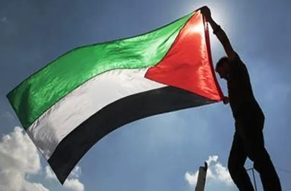 巴勒斯坦成为联合国正式会员国的申请在安理会遭美国否决