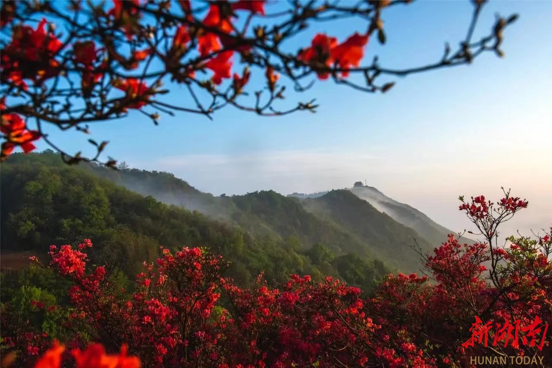 太浮山景区志愿者 贴心服务获赞