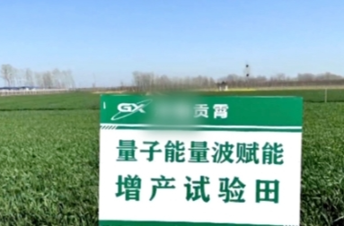 河南叶县已成立联合调查组对“量子科技种庄稼”进行调查