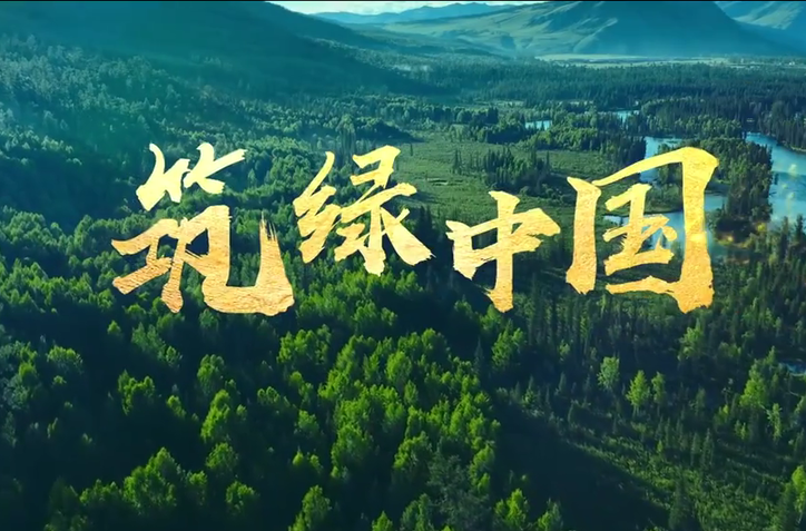 和谐共生丨筑绿中国