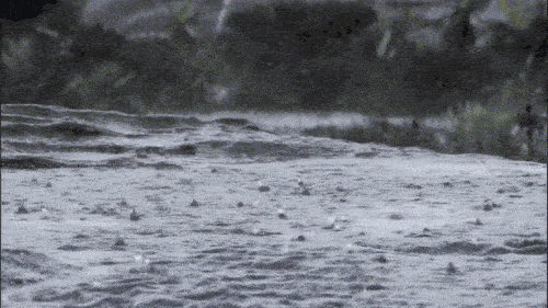 专家详解4月多地降水量破纪录