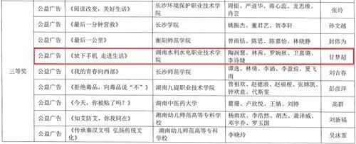 校企合作“赛”风采  大汉师创合作院校在湖南省首届高校“一节一推选”活动中喜获佳绩