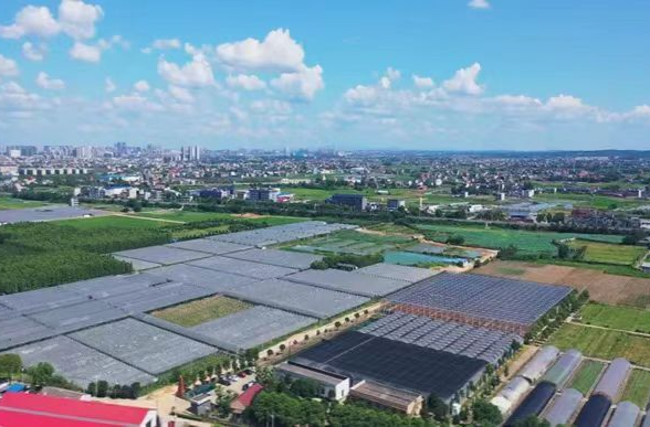 湘潭县打造“肥粪还田”全产业链模式丨湖南日报市州头条