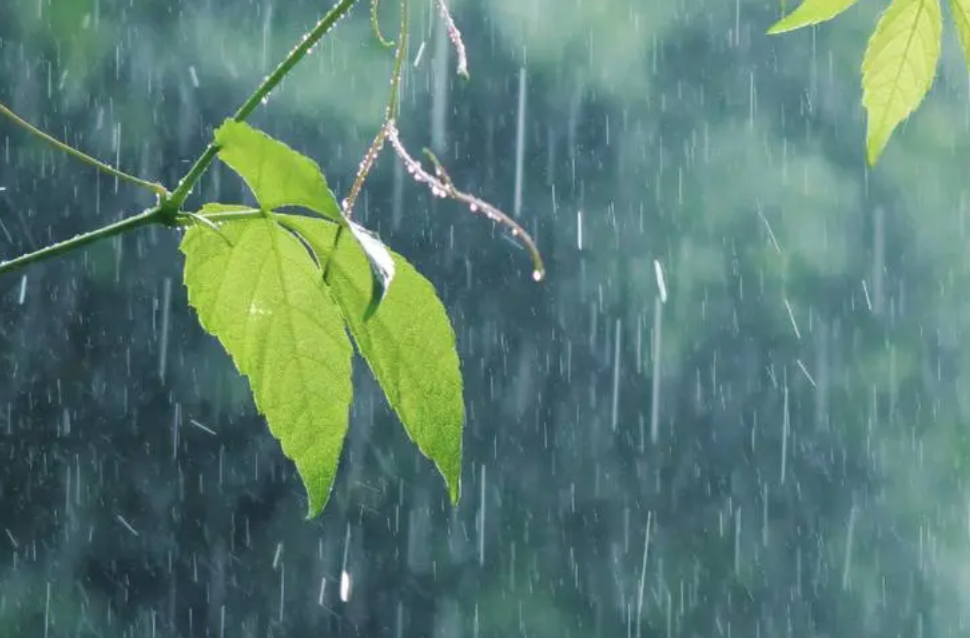 4月份湖南降雨量偏多六成—— 为何这么多“汤汤水水”