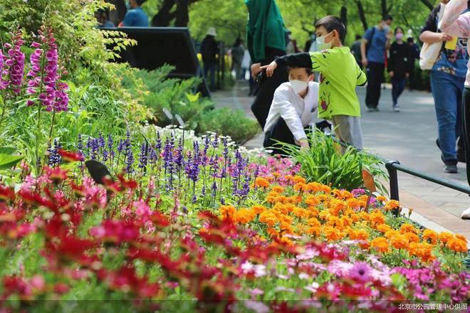 “五一”假期北京市属公园重点推荐30项文化活动
