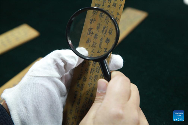 Ancient Slips Mirror the Rise and Fall of Qin Dynasty