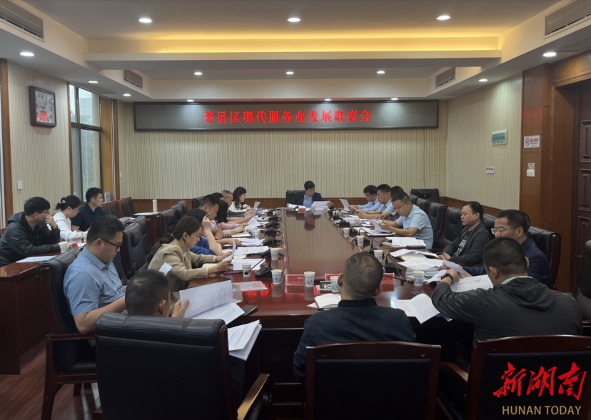 娄星区召开2024年现代服务业发展联席会议