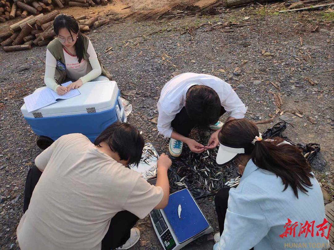 双牌县：扎实推进湘江水生生物资源监测 全面助力乡村振兴