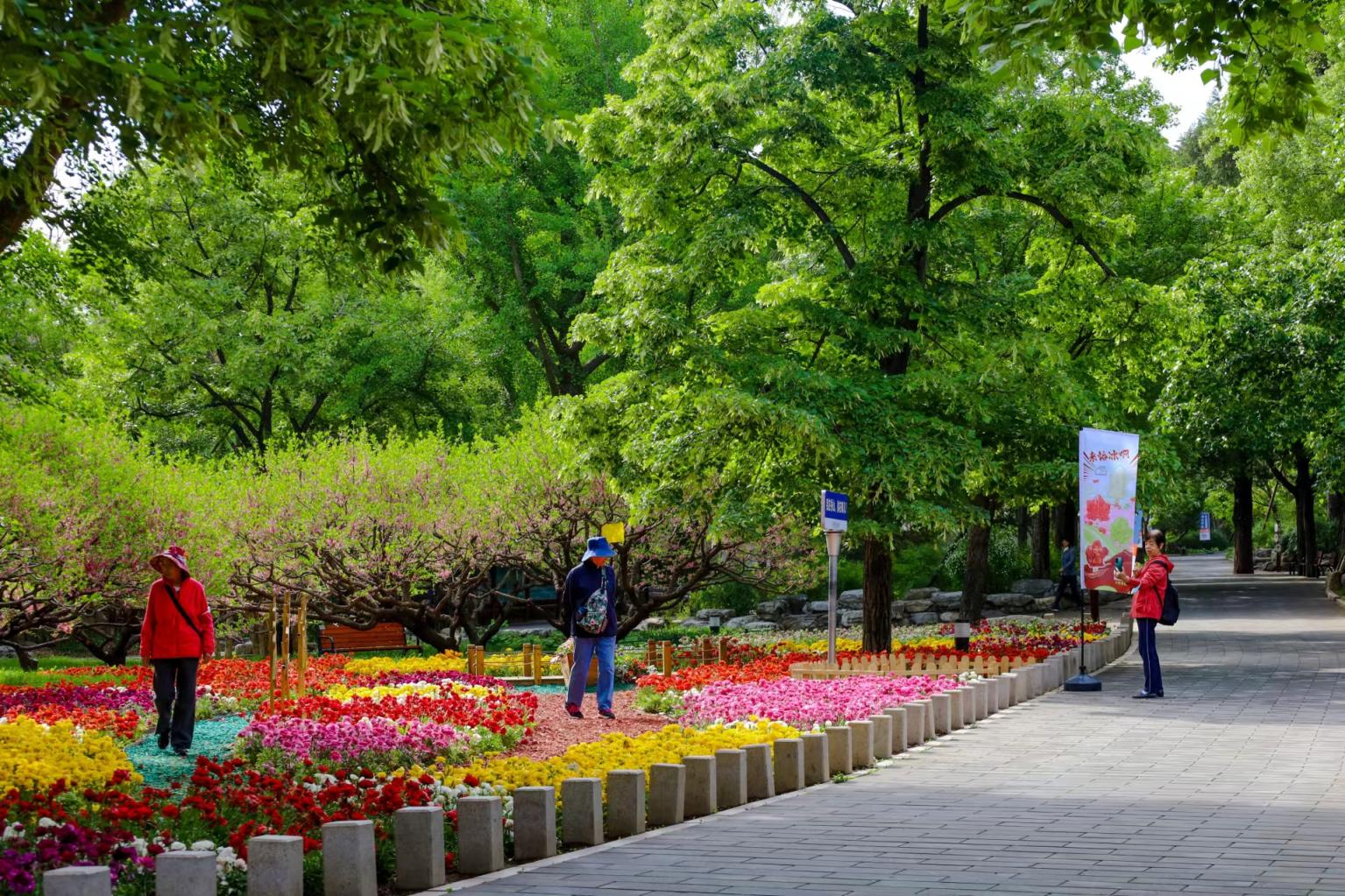 北京市属公园推出28处五一假期踏青赏花场所