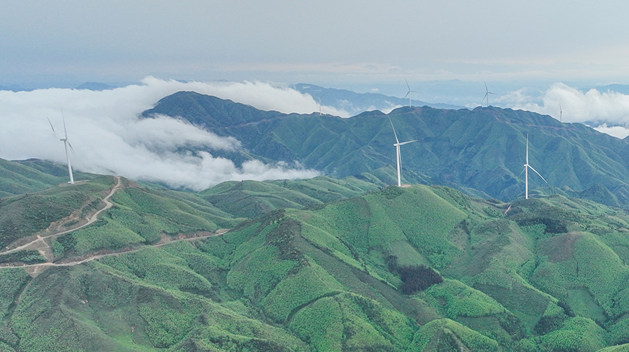 风电绿能助发展