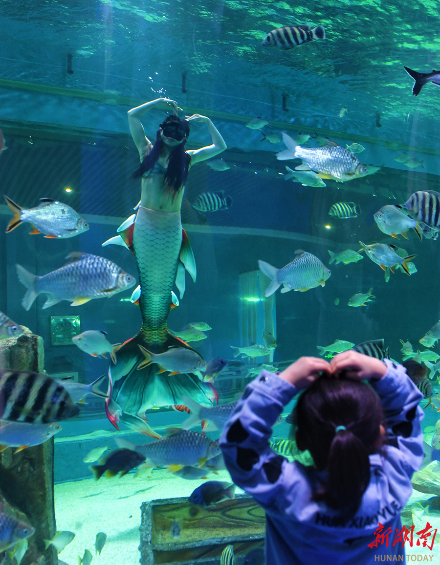 4月30日,游客在海洋馆与美人鱼比心互动.