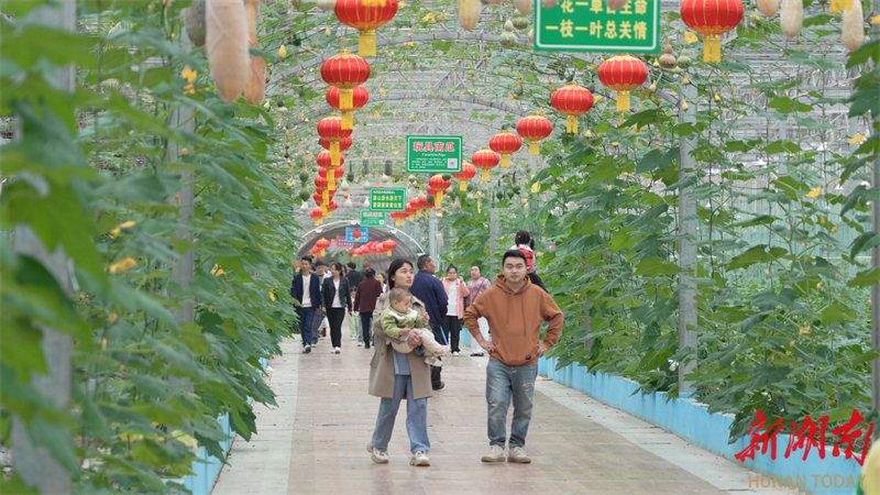 怀化九丰现代农博园：日均接待游客达6000人次