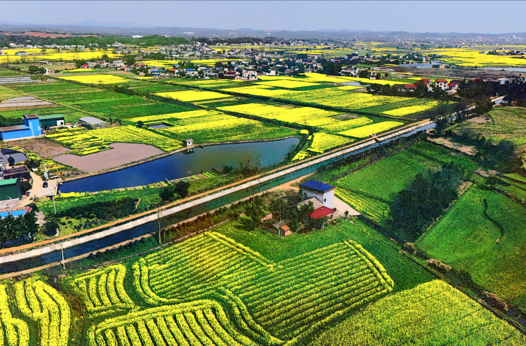 韶山灌区改造提速“渠”到水成 百万亩农田“喝”足春灌水丨湖南日报