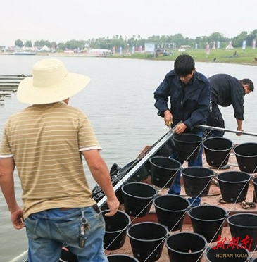 赫山区10880个人工鱼巢为鱼儿筑“产房”