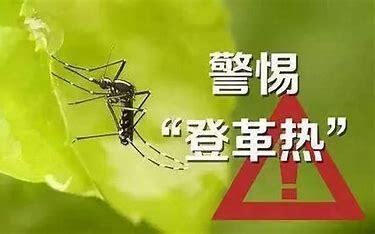 5月起，登革热将进入流行季，请注意防范