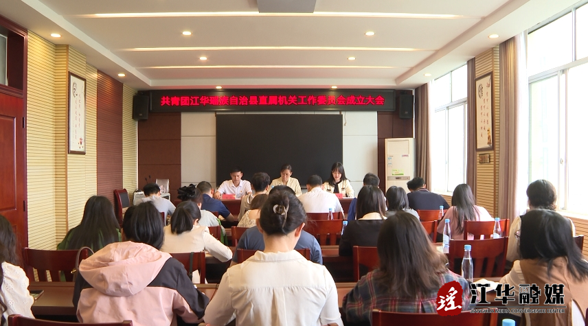 共青团江华瑶族自治县直属机关工作委员会成立