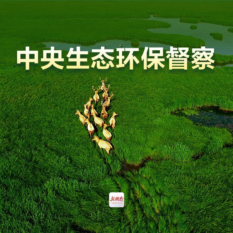 中央生态环保督察