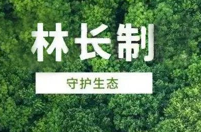 林长制助力美丽岳阳交出绿色成绩单