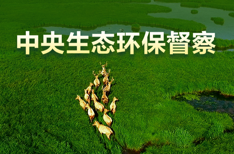 中央第五生态环境保护督察组向湖南交办第二批信访件58件