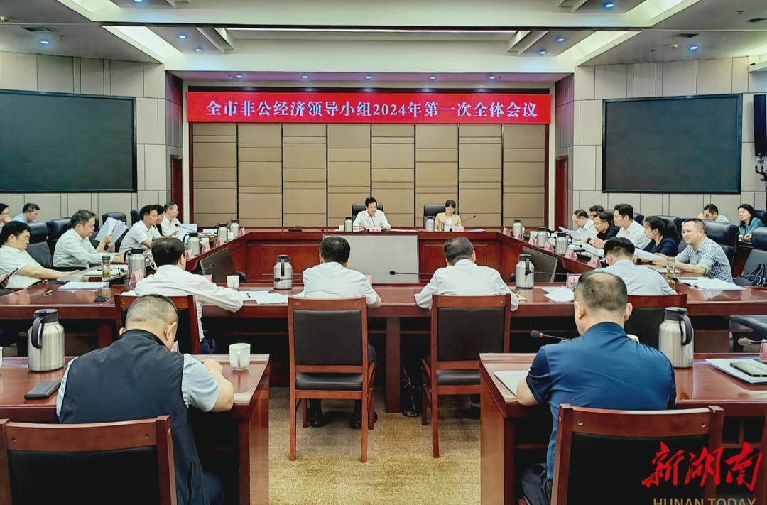 岳阳市非公经济领导小组2024年第一次全体会议召开