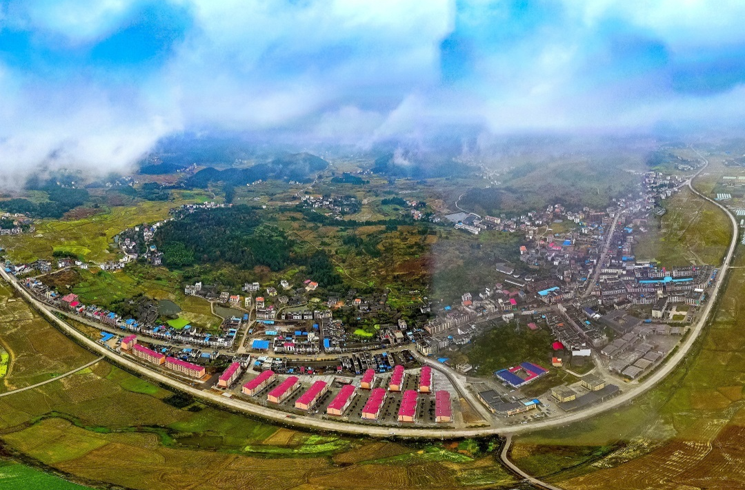 湾头桥镇：“武冈粮仓”绘丰景 和美乡村展新颜