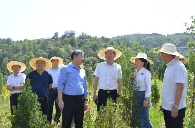 严华在邵阳县调研生态环境保护问题整改工作