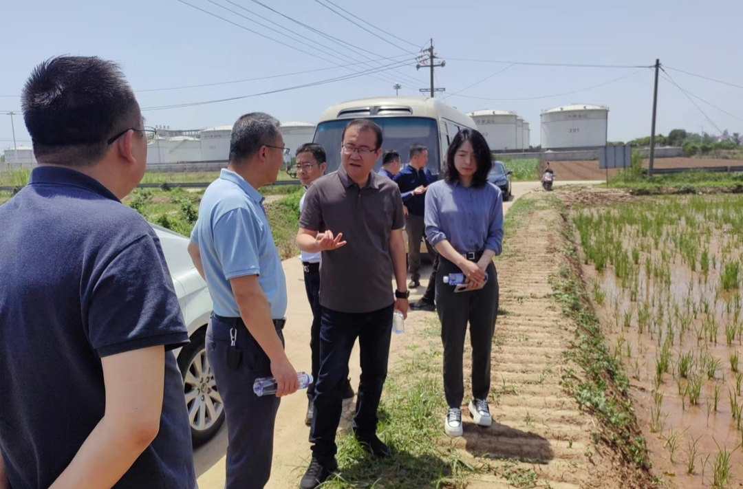 江苏省宿迁市自然资源和规划局来区调研耕地保护工作