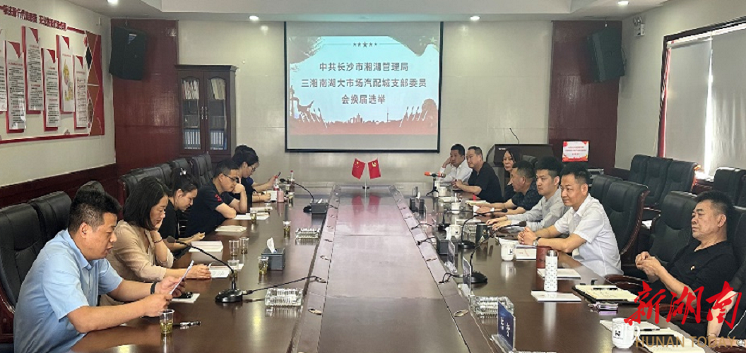 三湘南湖大市场汽配城支部委员会举行换届选举