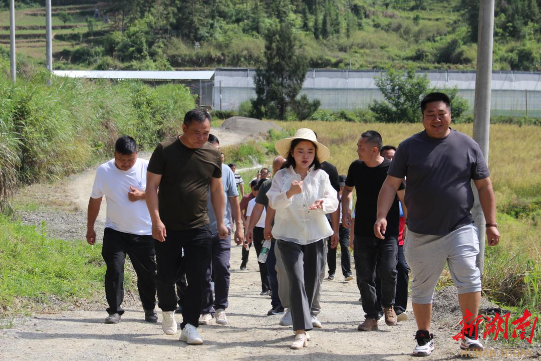 永顺县西歧乡：讲好集体经济故事，共同助力乡村振兴发展