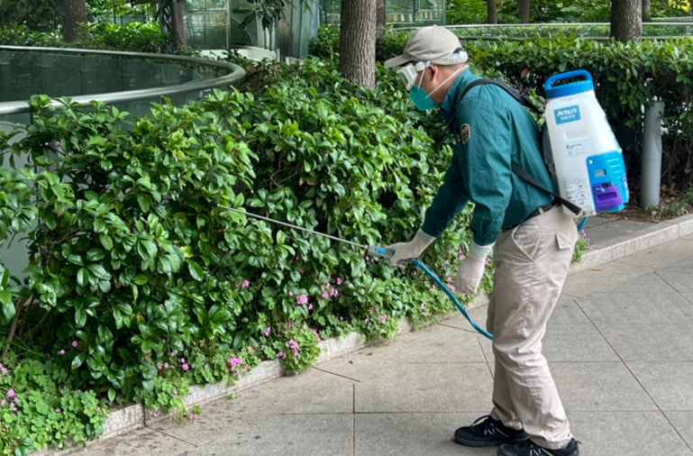 预防蚊媒传染病，上海全面开展夏秋季爱国卫生运动